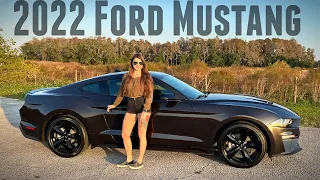 2022 Mustang EcoBoost Walk Around & Review 🏎️💨