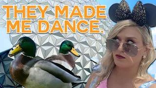 I Let 1,000 Followers Plan My Day in Disney World | Twitch Stream in Charge at EPCOT
