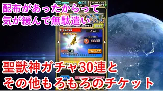 【星ドラ】聖獣神ガチャ30連とその他もろもろのチケット