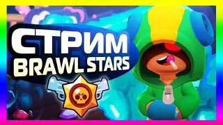 Стрим по Brawl Stars ⭐ прохожу чемпионат