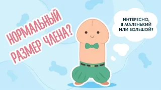 Нормальный размер ЧЛЕНА: спросили уролога, девушек и работника секс-шопа