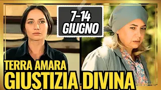 TERRA AMARA: Giustizia Divina! Betul e AbdulKadir Condannati! - Anticipazioni dal 7 al 14 Giugno