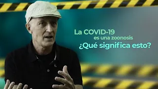 ZOONOSIS, ¿qué son y qué tienen que ver con el COVID?