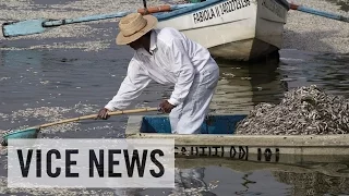 VICE News Daily: Beyond The Headlines - September 3,  2014