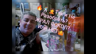 #video #youtube #mukbang Мукбанг /Разбираемся СОКОЛ ЖРЁТ/ ОБЗОР, Вечерняя Болталка, КТО? ЧТО? Влог