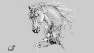 Digital Art Showcase: Creating a Horse Drawing on iPad with Procreate