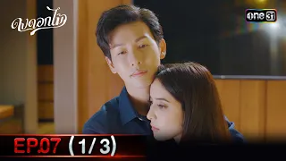 ดงดอกไม้ Ep.07 (1/3) | 16 ส.ค. 66 | one31