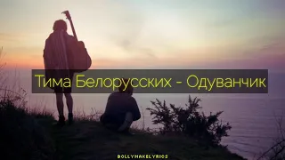Тима Белорусских - Одуванчик (Текст)