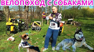 Велопоход с собаками. Сосиски на костре. Ночёвка в палатке.