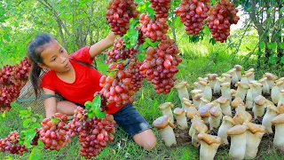Adventure in forest- Girl Found Mushrooms and Grapes at river - Cooking Mushrooms Eating delicious