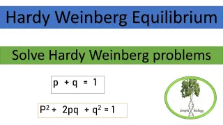 Hardy Weinberg Equilibrium- how to use Hardy Weinberg Equation to calculate allele frequency