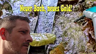 Neuer Bach, neues Gold! Das erste Gold nach unserem Umzug.