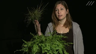 Eine Restauratorin bei der Gartenarbeit ZKM | Karlsruhe