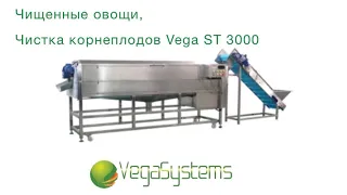 Чищенные овощи, Чистка корнеплодов Vega STH 3000