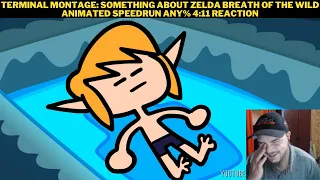 Terminal Montage: Something About Zelda Breath of the Wild Animated Speedrun Any% 4:11 Reaction