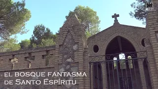 El bosque fantasma de Santo Espíritu [PARANORMAL] - Capítulo 33 - Grupo Zero Investigación