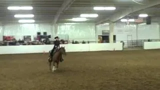 IEA Reining Pattern at Findlay 1/13/12