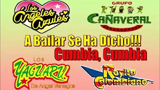 Cañaveral, Yaguaru, Angeles Azules, Rayito Colombiano, Cumbias del Recuerdo