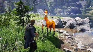 ARTHUR CATCH A BEAUTIFUL FOX HORSE - Rdr2 gameplay