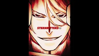 Sternritters💀 #bleach #edit