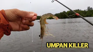 Di luar dugaan!!! mancing di muara saat kondisi air deras hasil nya memuaskan || Muara bebanir berau