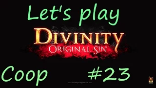 Let's Play Divinity Original Sin Coop Part 23