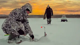 99% РЫБАКОВ ЕГО НЕ ЛОВИЛИ! Комбайны удивляют! Налим, язь, лещ, щука, окунь, ОСЁТР! Рыбалка на ОБИ!