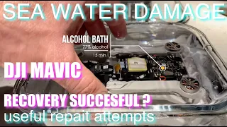 DJI MAVIC MINI SEA WATER DAMAGE! ... recovering electronics with alcohol bath | successful repair?