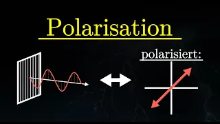 Polarisation von Licht und Polarisationsfilter (Physik)