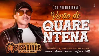 Bicho Bruto - Pisadinha Do Vaqueiro [ CD VERÃO DE QUARENTENA ]