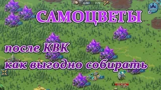 Lords mobile самоцветы бесплатно как выгодно собирать после КВК