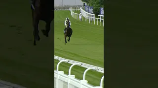 Jockey jumps off horse at 40mph!