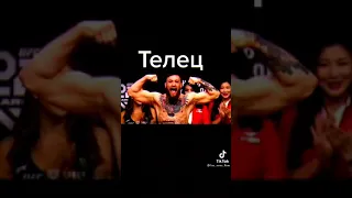 какой ты боец из UFC по знаку зодиака