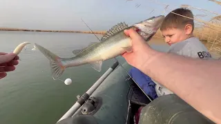 Судак на джиг. Маныч, веселовское водохранилище. Рыбалка на спиннинг. Апрель 2024