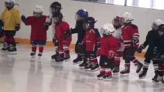Детский хоккей г.Видное ЛД Арктика  20-я тренировка