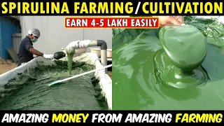 How To Start Spirulina Farming Business | Home Based Business Ideas