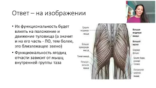 Ягодицы и боли в пояснице: как работать с проблемой тренеру?