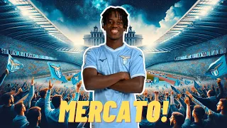 Mercato - Sana Fernandes