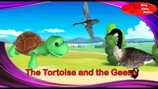 geese and tortoise story | good habits bedtime stories | moral story for kids | ding dong stories