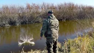 Хапуга против спиннингов, такого Крокодилы ещё не видели! Клев как на черных камнях!