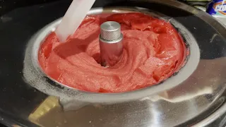 How To Make Sorbet with Any Kind Fruit (I Made Raspberry Flavor)