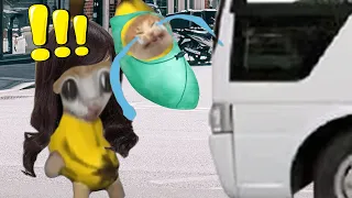 BANANA CAT 🐱 HAPPY AND 😿 CRY VIDEOS 2 #catmemes #cat #bananacat #happycat #fyp