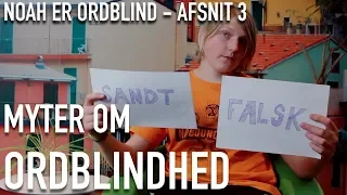 NOAH ER ORDBLIND - MYTER OM ORDBLINDHED