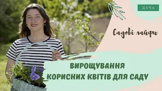 Вирощування Корисних Квітів для Саду. Які Квіти Потрібно Садити в Саду?