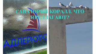 СОЧИ 2021. САНАТОРИЙ КОРАЛЛ. УЗНАЁМ ПРО ЦЕНЫ. ПРОГУЛКА К МОРЮ. ПОГОДА В СОЧИ 12 ФЕВРАЛЯ