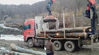 MAN TGA-incarcare lemne