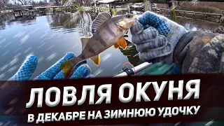 РЫБАЛКА НА ЗИМНЮЮ УДОЧКУ С ЛОДКИ !!! ЛОВЛЯ ОКУНЯ НА ЗИМНЮЮ УДОЧКУ !!! ЛОВЛЯ ОКУНЯ В ДЕКАБРЕ