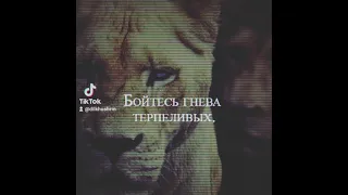 Бойтесь гнева терпеливых.