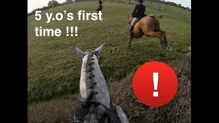 My 5 y.o Horse's First Time Trail Riding - First HEDGE! 5ft BIG! | Equestrian