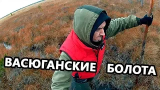 Васюганские болота